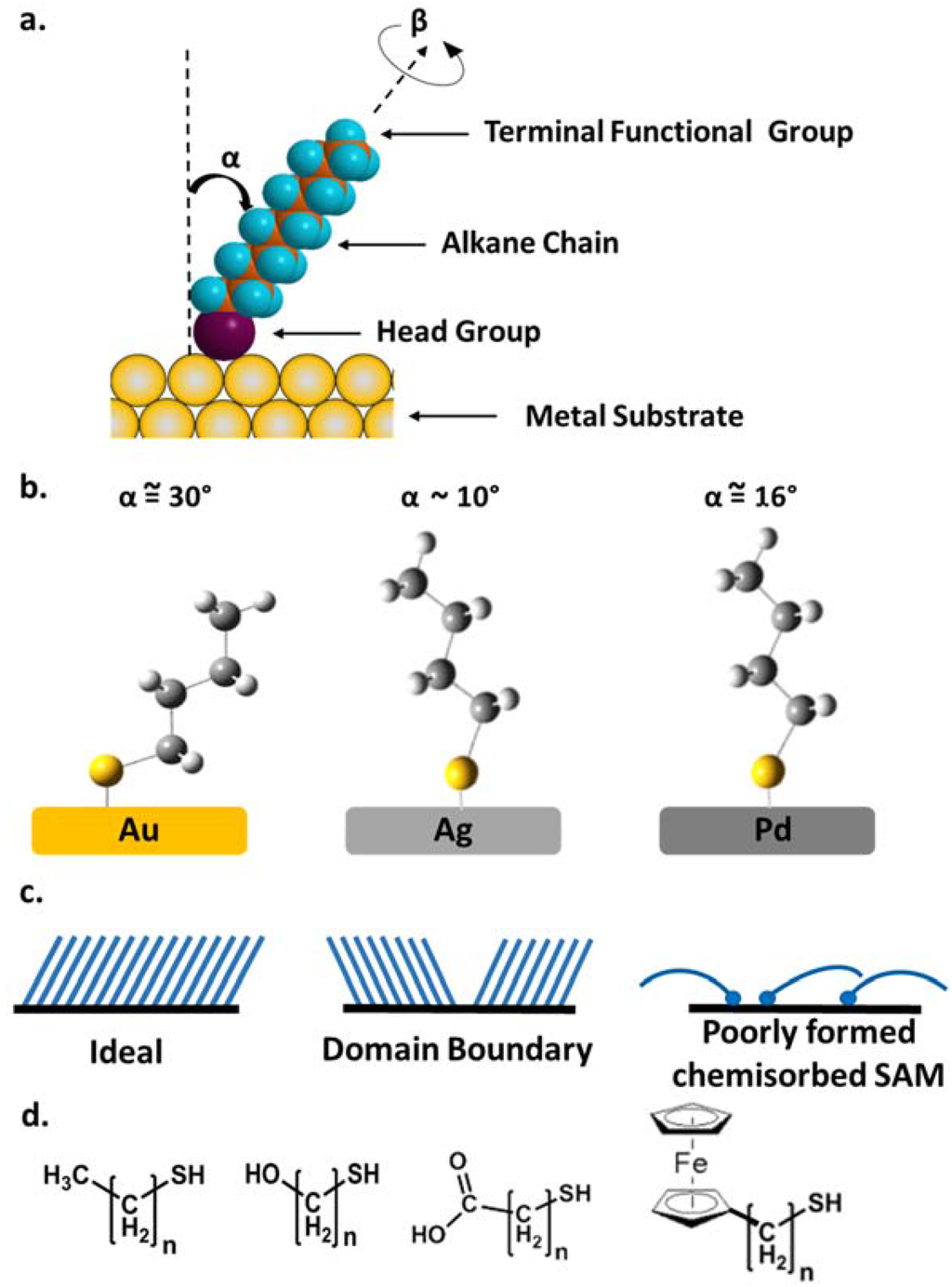 Figure 1 image