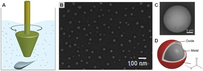 Figure 1 image