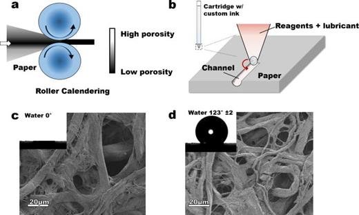 Figure 1 image