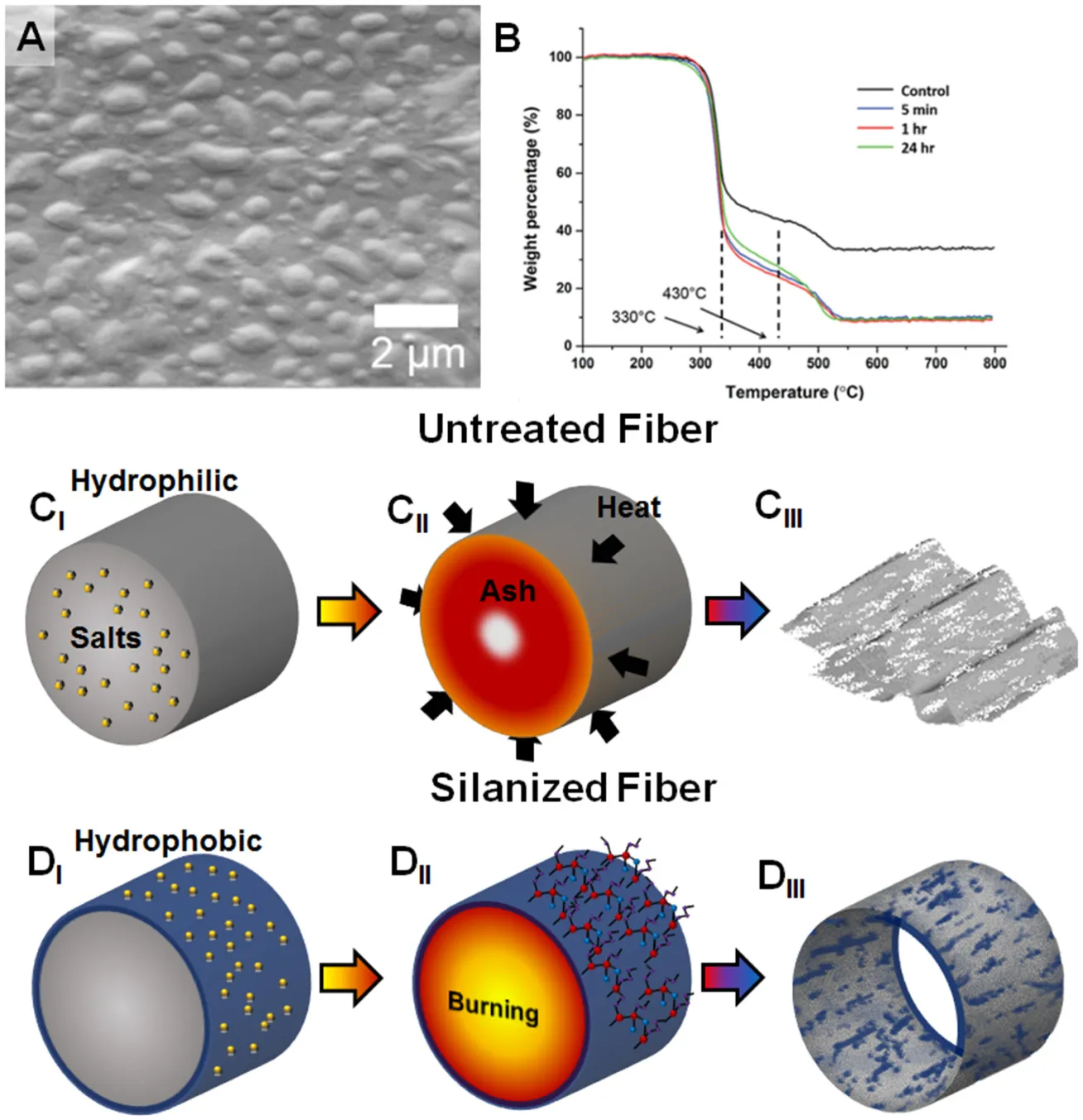 Figure 1 image