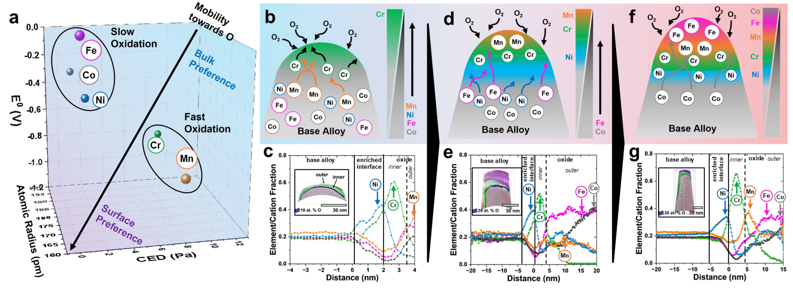 Figure 1 image